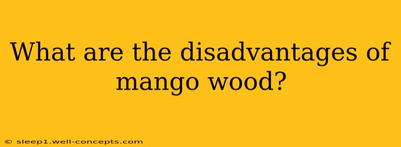 What are the disadvantages of mango wood?