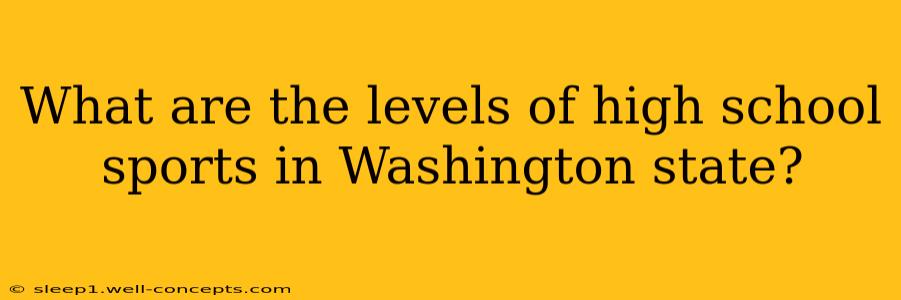 What are the levels of high school sports in Washington state?