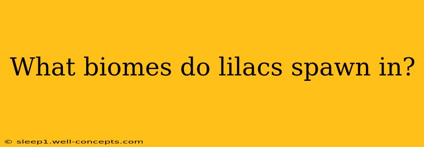 What biomes do lilacs spawn in?