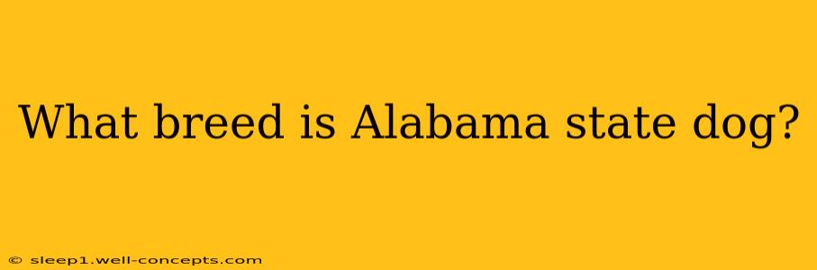 What breed is Alabama state dog?