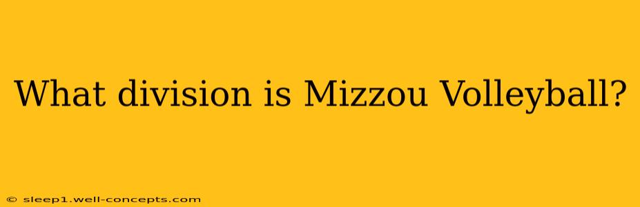 What division is Mizzou Volleyball?