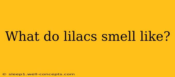 What do lilacs smell like?