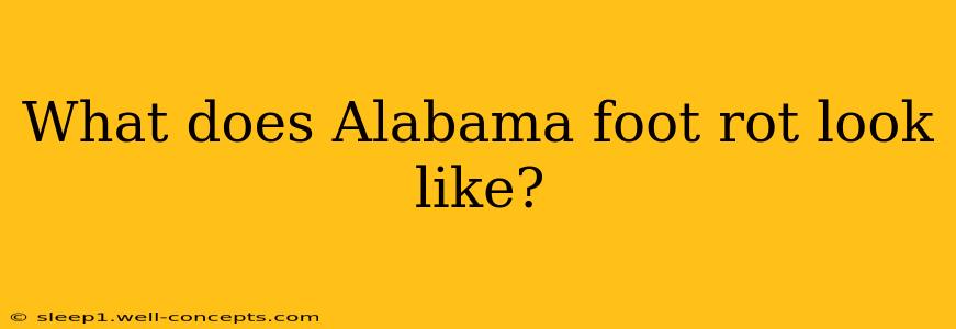 What does Alabama foot rot look like?