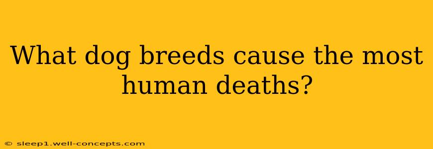 What dog breeds cause the most human deaths?