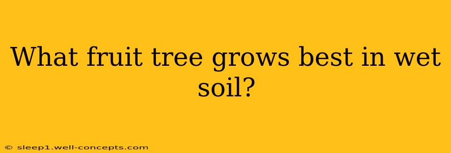 What fruit tree grows best in wet soil?