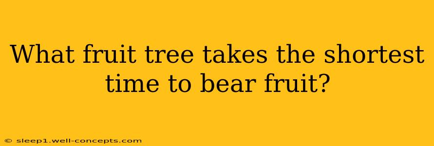 What fruit tree takes the shortest time to bear fruit?