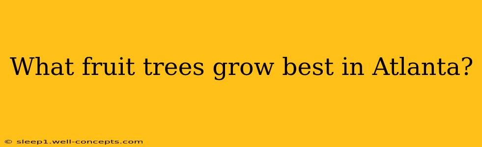 What fruit trees grow best in Atlanta?