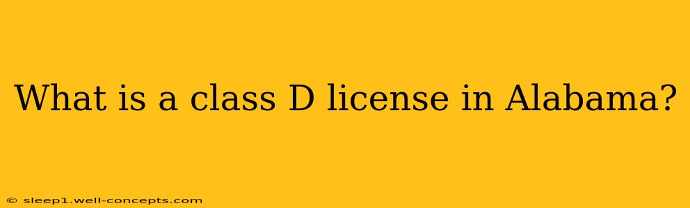 What is a class D license in Alabama?