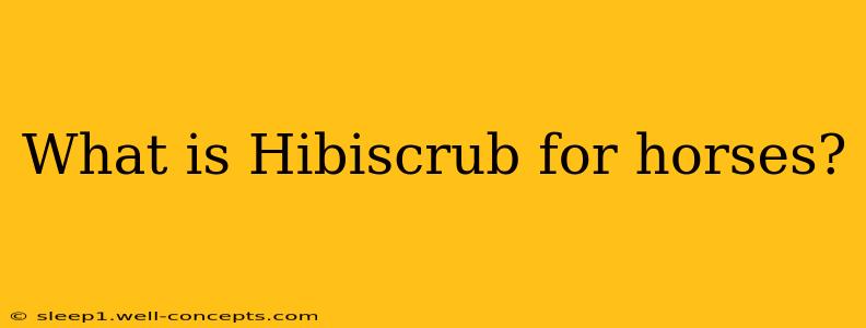 What is Hibiscrub for horses?