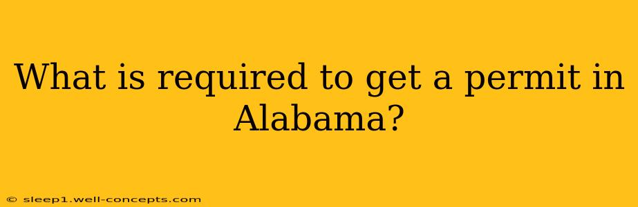 What is required to get a permit in Alabama?