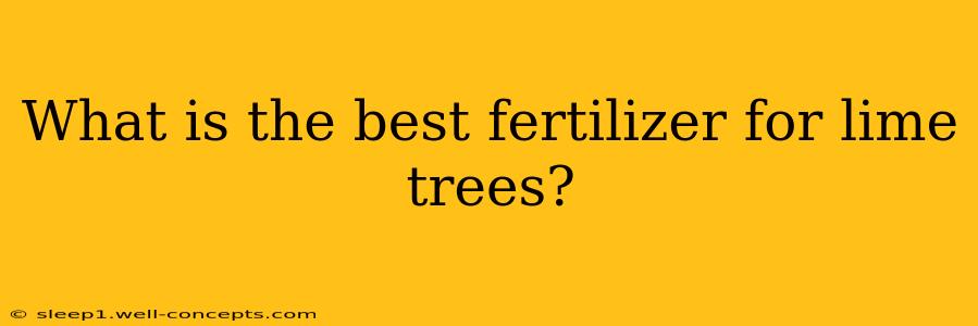 What is the best fertilizer for lime trees?