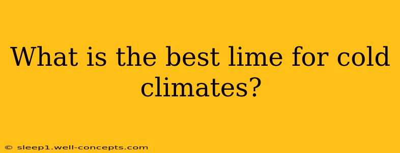 What is the best lime for cold climates?