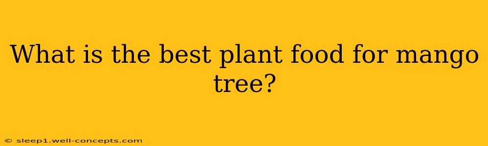 What is the best plant food for mango tree?