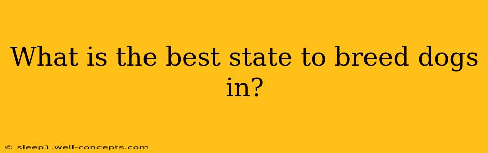 What is the best state to breed dogs in?