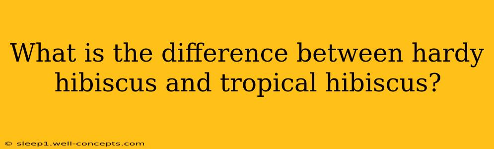 What is the difference between hardy hibiscus and tropical hibiscus?