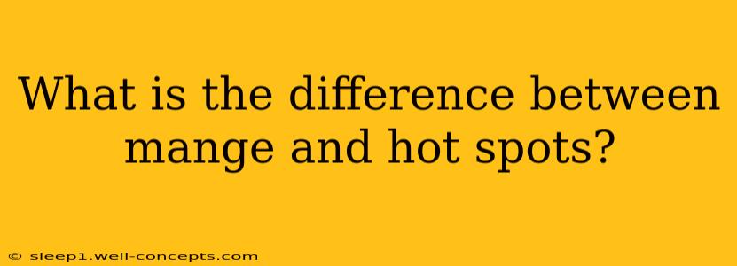 What is the difference between mange and hot spots?