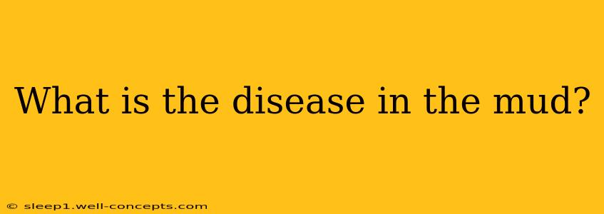 What is the disease in the mud?