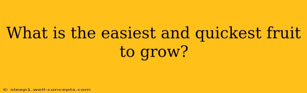 What is the easiest and quickest fruit to grow?