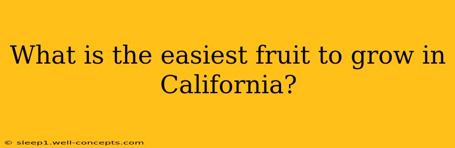 What is the easiest fruit to grow in California?