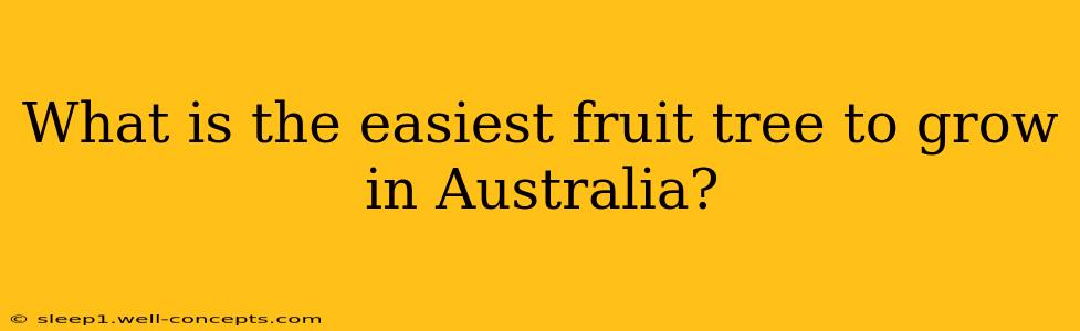 What is the easiest fruit tree to grow in Australia?