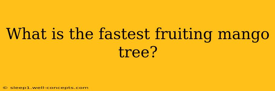 What is the fastest fruiting mango tree?