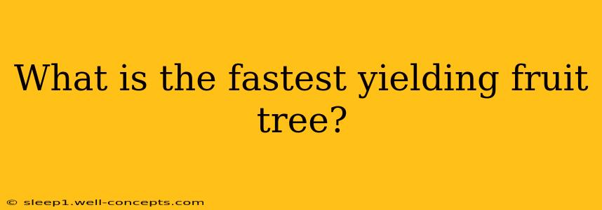 What is the fastest yielding fruit tree?