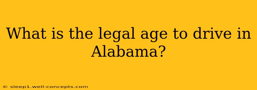 What is the legal age to drive in Alabama?