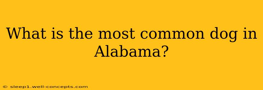 What is the most common dog in Alabama?