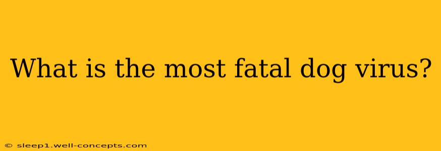 What is the most fatal dog virus?