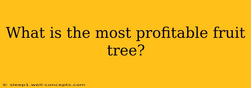 What is the most profitable fruit tree?