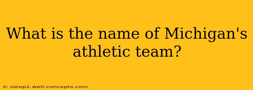 What is the name of Michigan's athletic team?