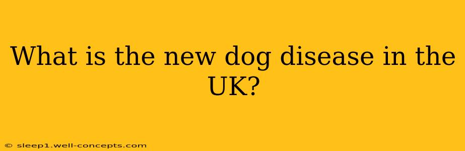 What is the new dog disease in the UK?