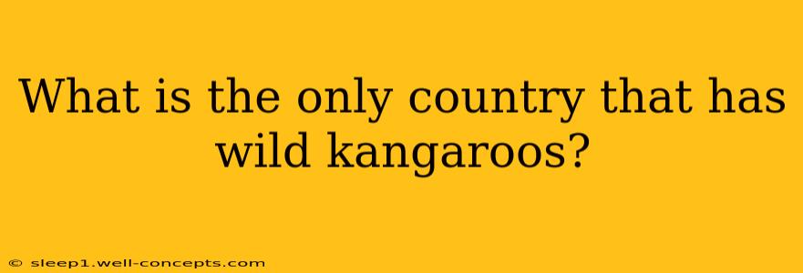 What is the only country that has wild kangaroos?