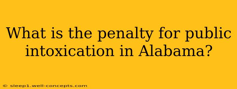 What is the penalty for public intoxication in Alabama?