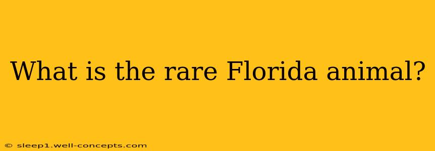 What is the rare Florida animal?