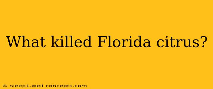 What killed Florida citrus?