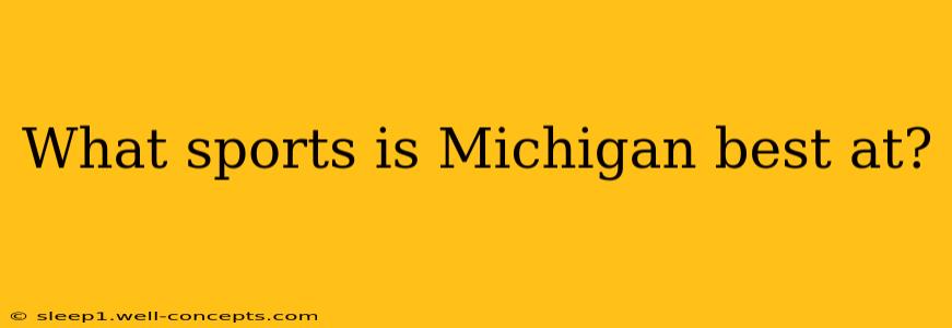 What sports is Michigan best at?