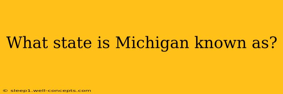 What state is Michigan known as?