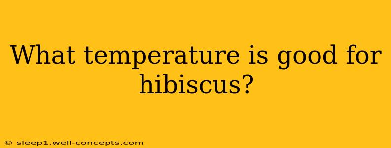 What temperature is good for hibiscus?