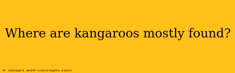 Where are kangaroos mostly found?