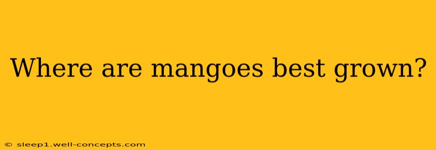 Where are mangoes best grown?