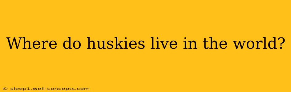 Where do huskies live in the world?