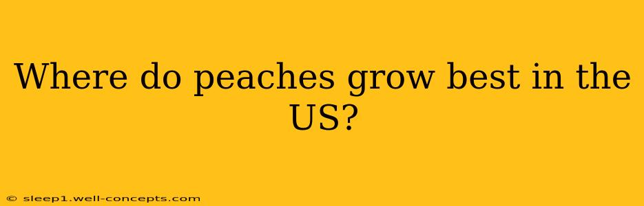 Where do peaches grow best in the US?