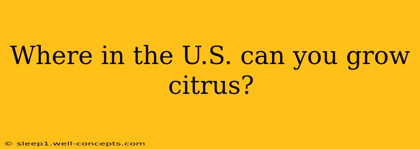 Where in the U.S. can you grow citrus?