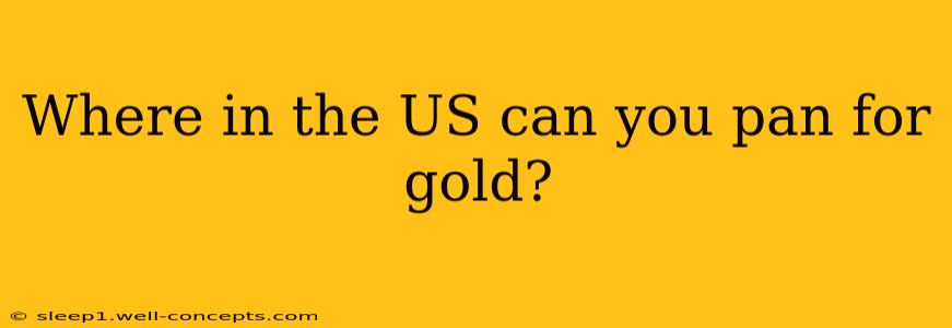 Where in the US can you pan for gold?