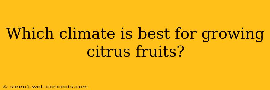 Which climate is best for growing citrus fruits?