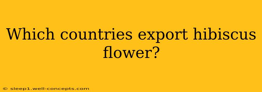 Which countries export hibiscus flower?