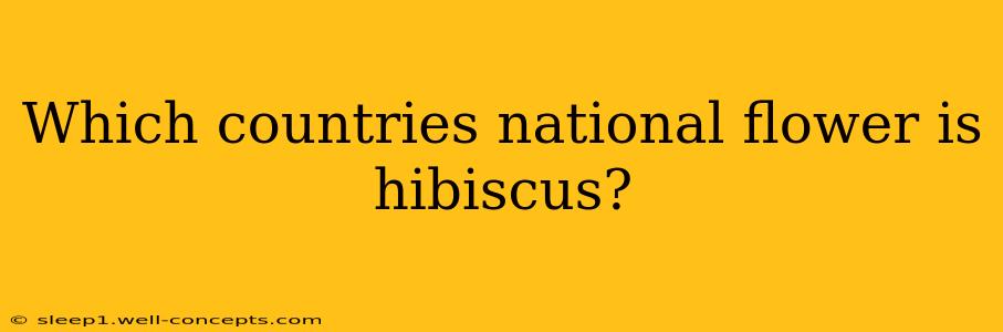 Which countries national flower is hibiscus?