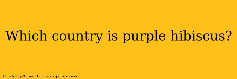 Which country is purple hibiscus?