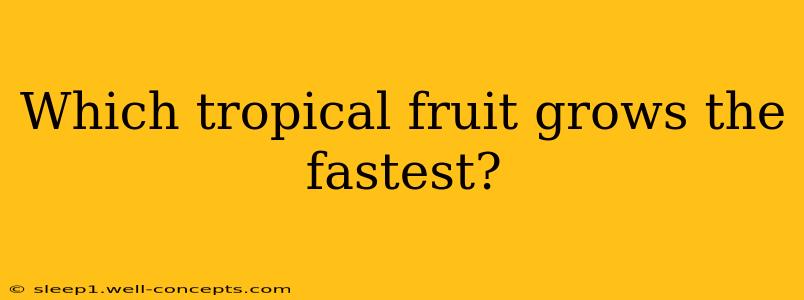 Which tropical fruit grows the fastest?